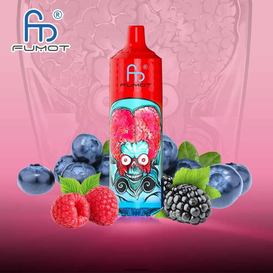 RandM Vape Chile | Fumot RandM Tornado H6282X191 Dispositivo vape 9000 pro con batería y pantalla ejuice versión 1 arándano frambuesa agria